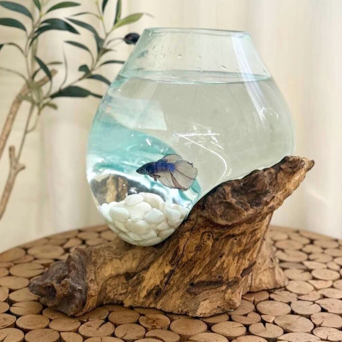Dekoratives Herz-Mini-Aquarium