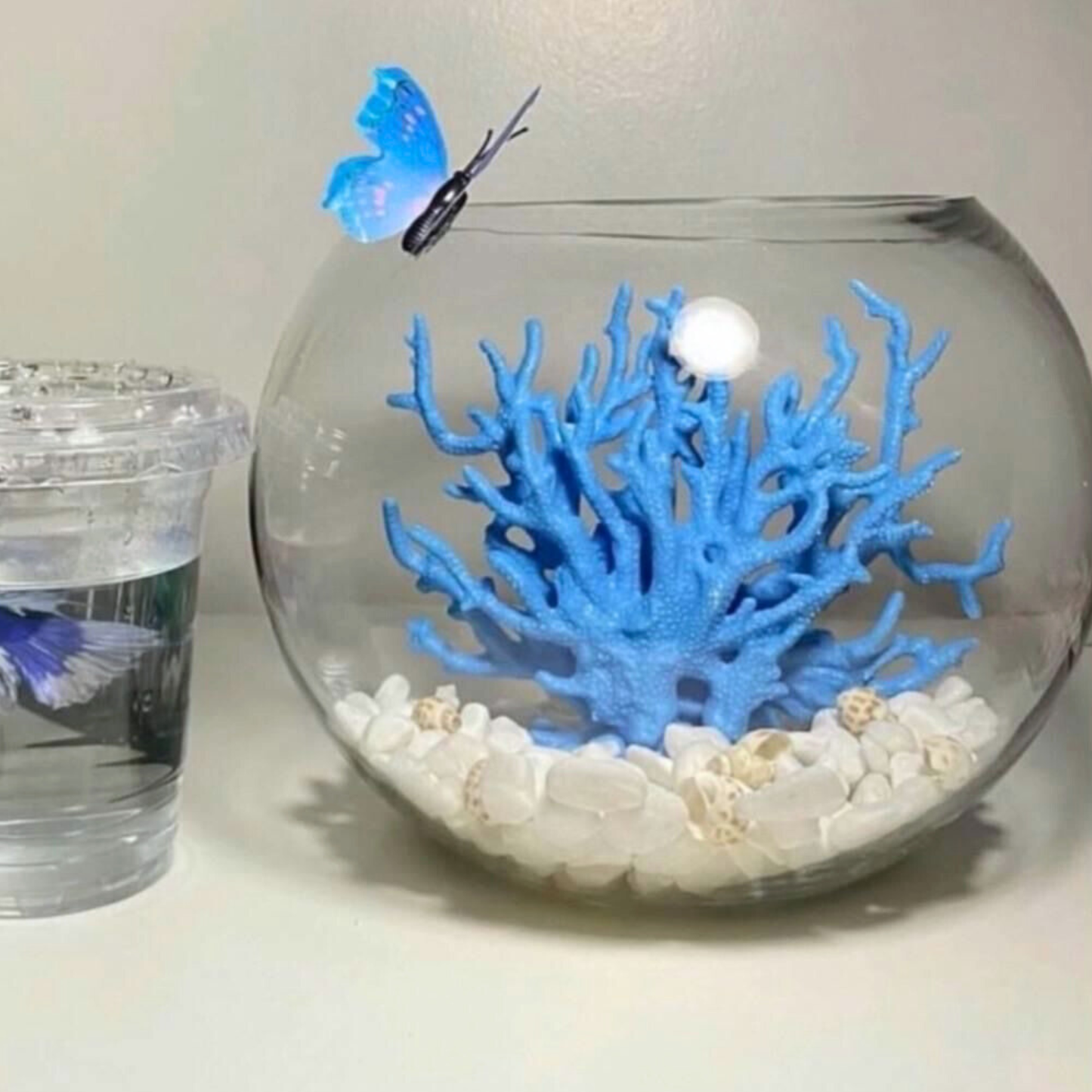 Dekoratives Herz-Mini-Aquarium