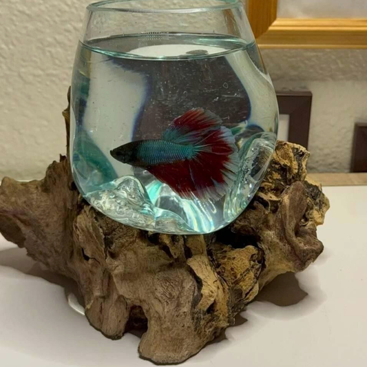 Dekoratives Herz-Mini-Aquarium