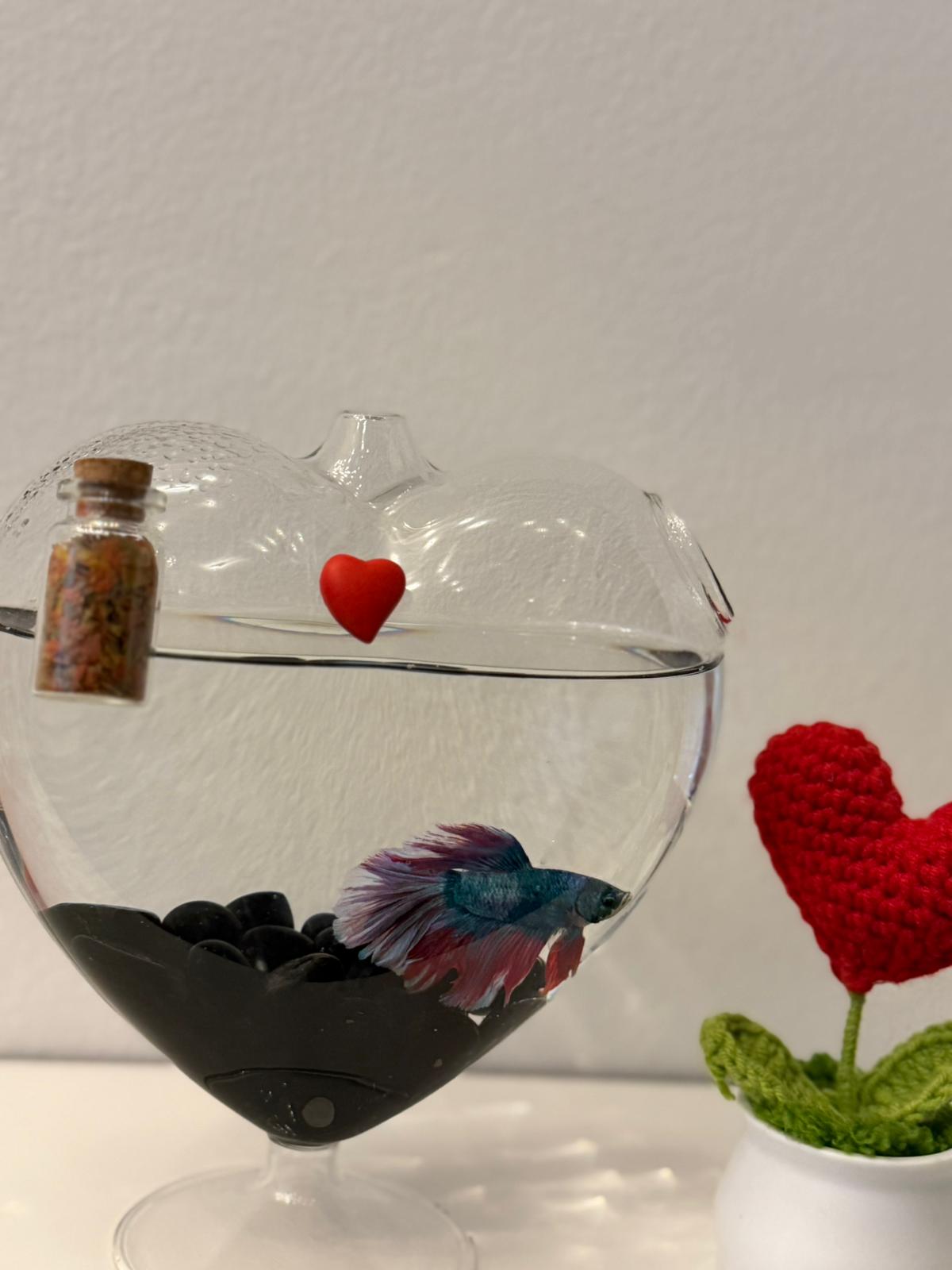 Dekoratives Herz-Mini-Aquarium